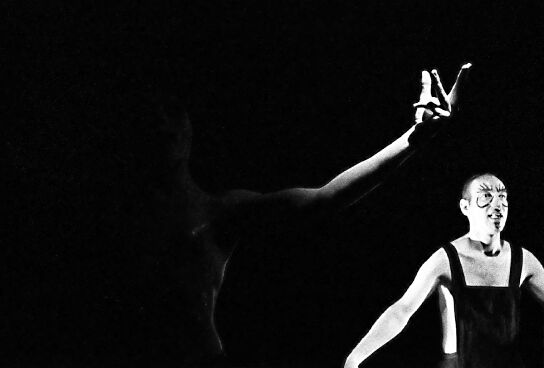 variet&eacute; surreal